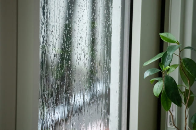 雨の窓辺